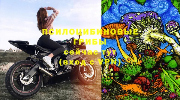 a pvp Касимов