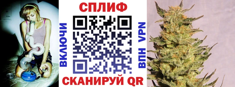 Конопля сатива  магазин    Элиста 